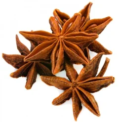 Natura d'Oriente Anice stellato