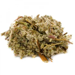 Natura d'Oriente Artemisia volgare taglio tisana
