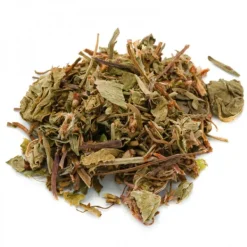 Natura d'Oriente Centella asiatica erba taglio tisana