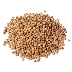 Natura d'Oriente Coriandolo semi