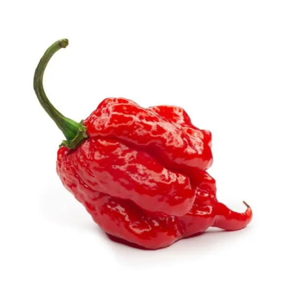 Natura d'Oriente Crema di peperoncino Carolina Reaper