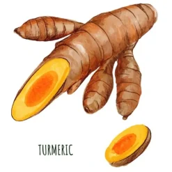 Natura d'Oriente Curcuma in bulbo Essiccata