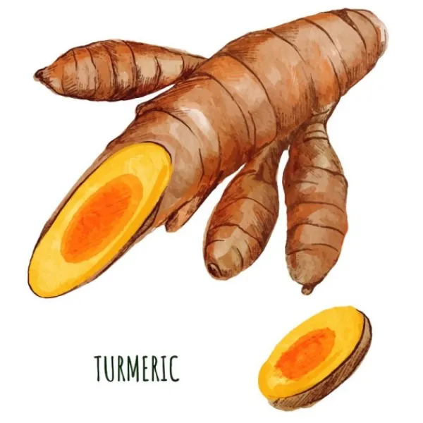 Natura d'Oriente Curcuma in bulbo Essiccata