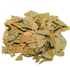 Natura d'Oriente Eucalipto foglie Taglio Tisana