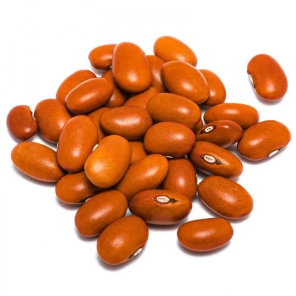 Natura d'Oriente Fagioli Bruni
