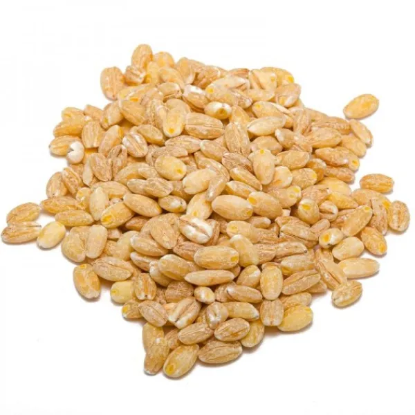 Natura d'Oriente Farro perlato