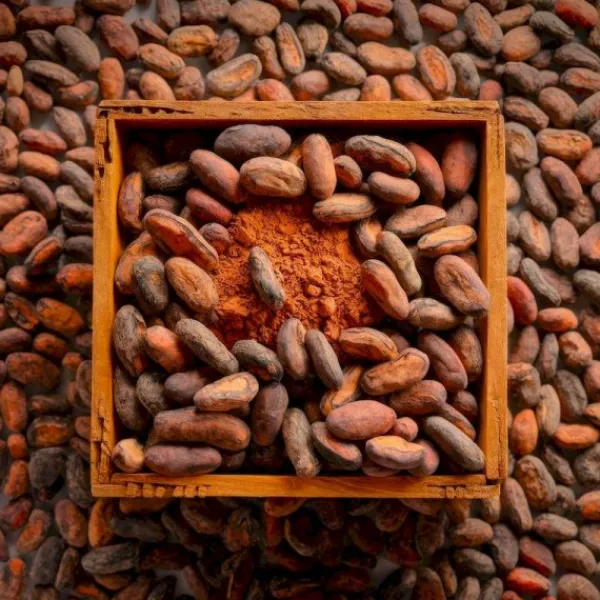 Natura d'Oriente Fave di Cacao Crude