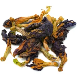 Natura d'Oriente Fiori di Butterfly Pea (pisello blu)