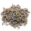 Natura d'Oriente Lavanda ibrida fiori mondi