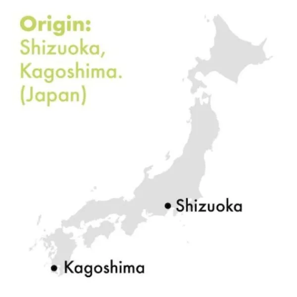 Natura d'Oriente Matcha Cerimonial Premium BIO