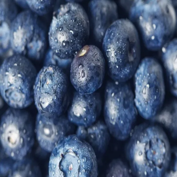 Natura d'Oriente Mirtilli blu disidratati