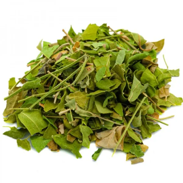 Natura d'Oriente Moringa Oleifera foglie taglio tisana