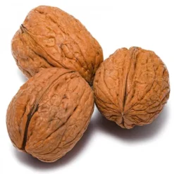 Natura d'Oriente Noci in guscio