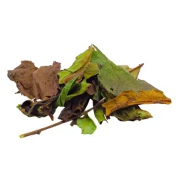 Natura d'Oriente Tè Bianco Superior Blend