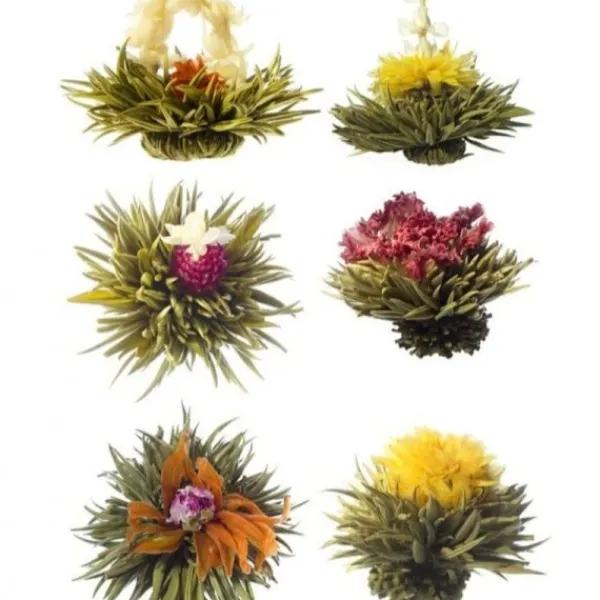 Natura d'Oriente Tè verde in fiore blooming tea