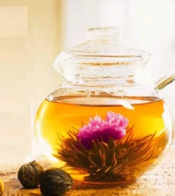 Natura d'Oriente Tè verde in fiore blooming tea